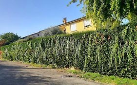 Ma maison fleurie proche aéroport, Eurexpo